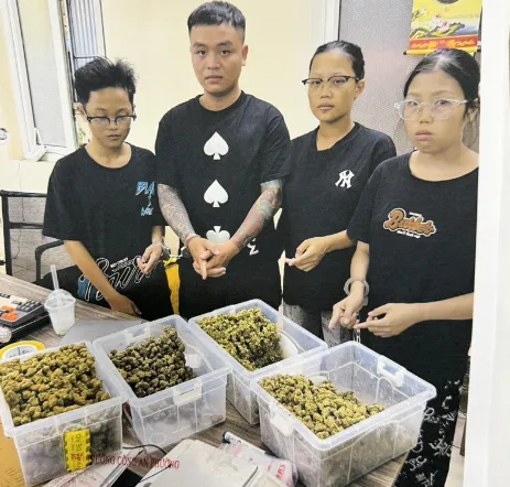 Triệt phá ổ nhóm mua bán ma túy, thu giữ hơn 10 kg cần sa - Ảnh 2. Triệt phá ổ nhóm mua bán ma túy, thu giữ hơn 10 kg cần sa - Ảnh 2.