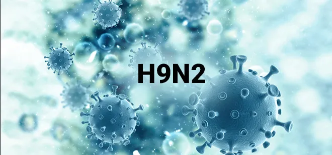 Bé trai 4 tuổi ở Ấn Độ nhiễm virus cúm gia cầm H9N2 - Ảnh 1. Bé trai 4 tuổi ở Ấn Độ nhiễm virus cúm gia cầm H9N2 - Ảnh 1.