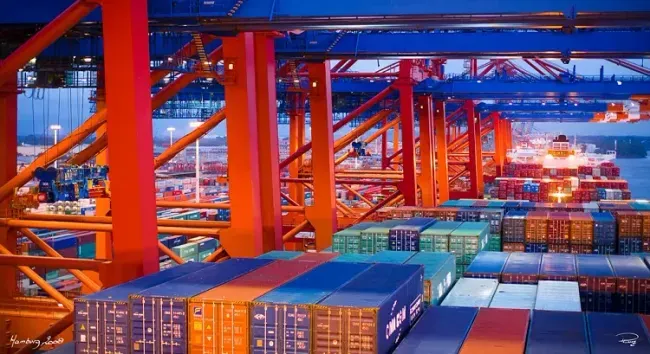Bộ Công Thương sẽ giải quyết việc mất hàng hồ tiêu - Ảnh 1. Bộ Công Thương sẽ giải quyết việc mất hàng hồ tiêu - Ảnh 1.