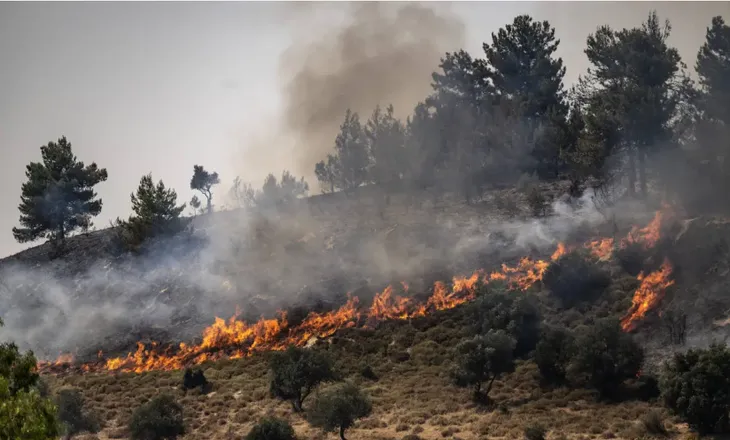Pháp, Mỹ thúc đẩy lộ trình ngăn chặn leo thang căng thẳng Israel - Hezbollah - Ảnh 1. Pháp, Mỹ thúc đẩy lộ trình ngăn chặn leo thang căng thẳng Israel - Hezbollah - Ảnh 1.