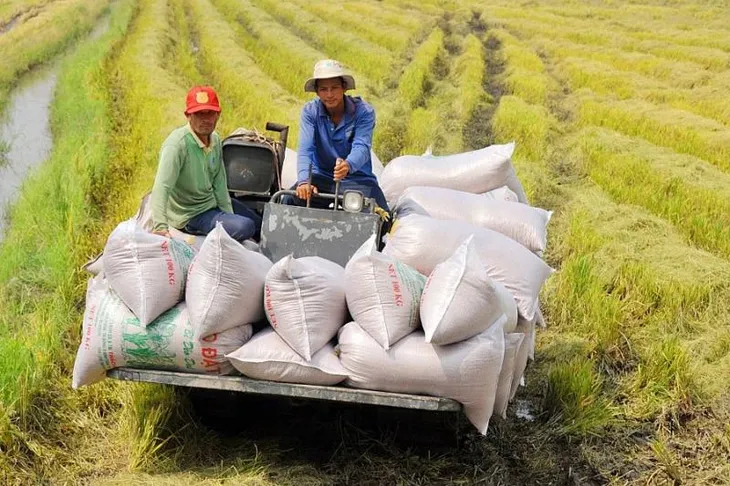 Triển vọng thị trường gạo châu Á - Ảnh 2.