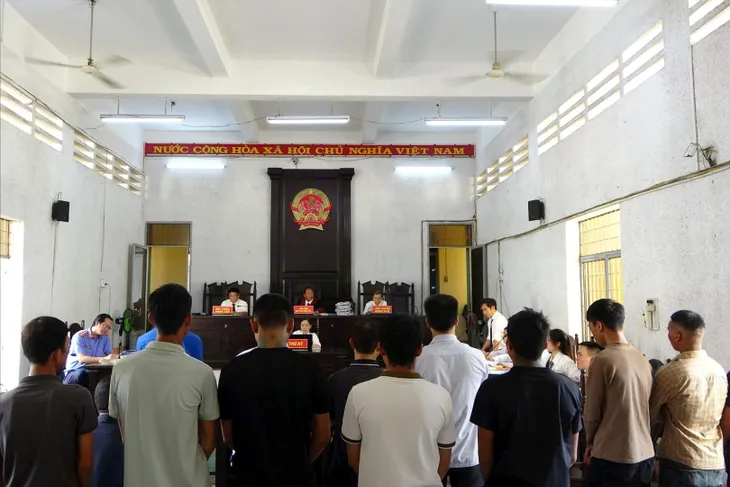 Bản án nghiêm khắc cho các đối tượng “Hủy hoại rừng” quy mô lớn - Ảnh 1. Bản án nghiêm khắc cho các đối tượng “Hủy hoại rừng” quy mô lớn - Ảnh 1.