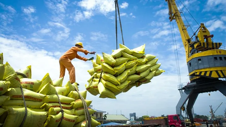 Xuất khẩu gạo sang Trung Quốc có xu hướng giảm, vì đâu? - Ảnh 2. Xuất khẩu gạo sang Trung Quốc có xu hướng giảm, vì đâu? - Ảnh 2.