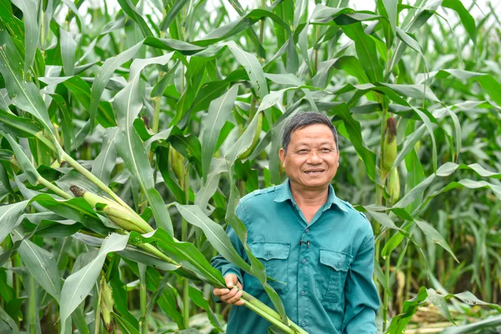 Người nông dân hưởng lợi gì khi doanh nghiệp làm “Net Zero” - Ảnh 5. Người nông dân hưởng lợi gì khi doanh nghiệp làm “Net Zero” - Ảnh 5.