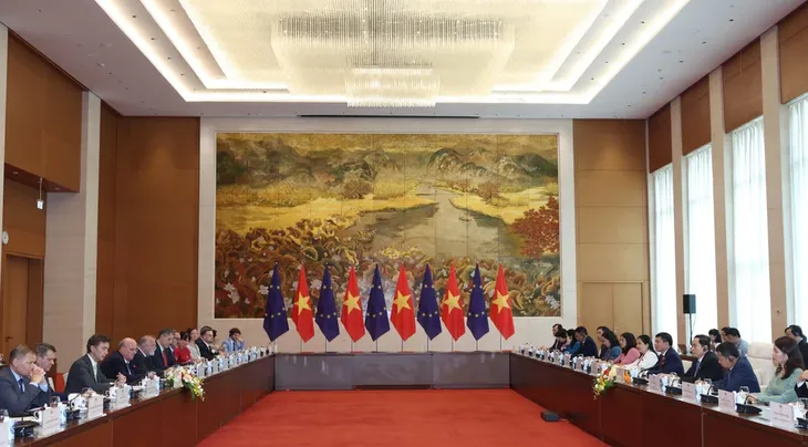 Thúc đẩy phê chuẩn Hiệp định Bảo hộ Đầu tư Việt Nam - EU - Ảnh 2. Thúc đẩy phê chuẩn Hiệp định Bảo hộ Đầu tư Việt Nam - EU - Ảnh 2.
