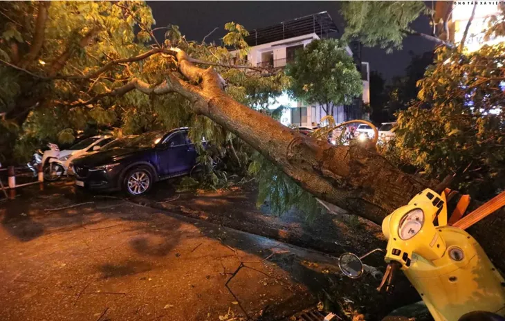 Hà Nội: Mưa kèm gió lớn, nhiều cây xanh bật gốc đổ đè trúng hàng loạt ô tô - Ảnh 2. Hà Nội: Mưa kèm gió lớn, nhiều cây xanh bật gốc đổ đè trúng hàng loạt ô tô - Ảnh 2.