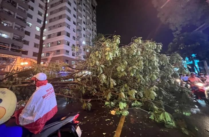 Hà Nội: Mưa kèm gió lớn, nhiều cây xanh bật gốc đổ đè trúng hàng loạt ô tô - Ảnh 3. Hà Nội: Mưa kèm gió lớn, nhiều cây xanh bật gốc đổ đè trúng hàng loạt ô tô - Ảnh 3.