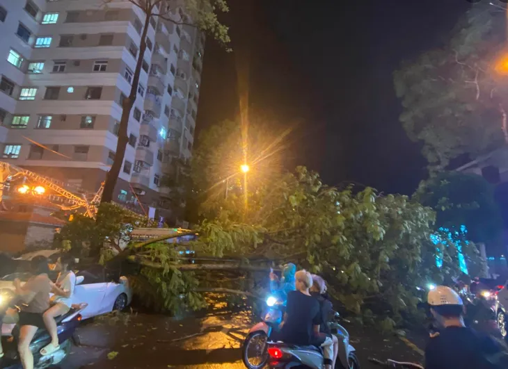 Hà Nội: Mưa kèm gió lớn, nhiều cây xanh bật gốc đổ đè trúng hàng loạt ô tô - Ảnh 1. Hà Nội: Mưa kèm gió lớn, nhiều cây xanh bật gốc đổ đè trúng hàng loạt ô tô - Ảnh 1.