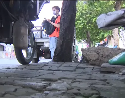Giải cứu cây xanh bị bê tông vây chặt gốc ở TP Hồ Chí Minh - Ảnh 2. Giải cứu cây xanh bị bê tông vây chặt gốc ở TP Hồ Chí Minh - Ảnh 2.