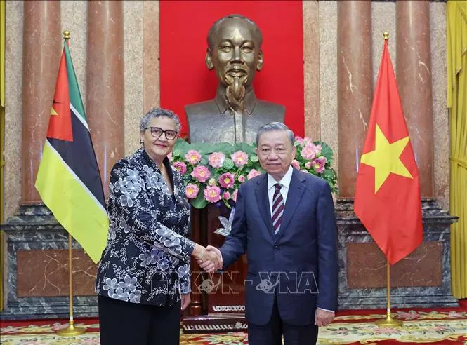 Chủ tịch nước Tô Lâm tiếp các Đại sứ trình Quốc thư - Ảnh 2. Chủ tịch nước Tô Lâm tiếp các Đại sứ trình Quốc thư - Ảnh 2.