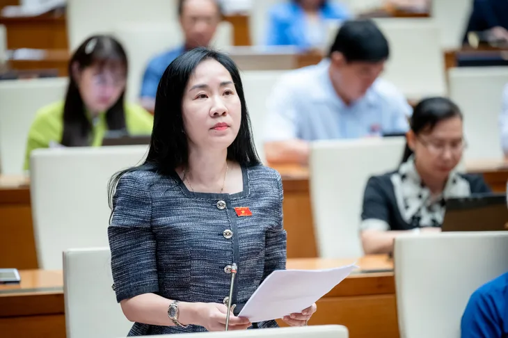 Quốc hội thảo luận về chương trình mục tiêu quốc gia về phát triển văn hóa - Ảnh 3.