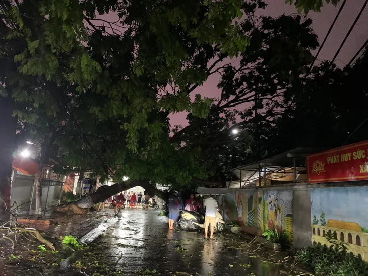 Hà Nội: Mưa kèm gió lớn khiến cột điện, cây cối gãy đổ - Ảnh 3.