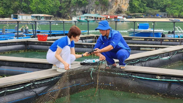 Quyết tâm gỡ thẻ vàng IUU trong năm 2024 - Ảnh 3. Quyết tâm gỡ thẻ vàng IUU trong năm 2024 - Ảnh 3.