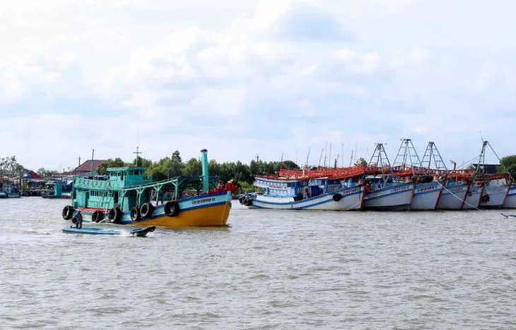Quyết tâm gỡ thẻ vàng IUU trong năm 2024 - Ảnh 2. Quyết tâm gỡ thẻ vàng IUU trong năm 2024 - Ảnh 2.