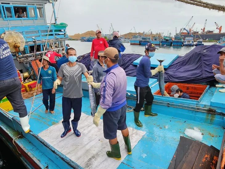 Quyết tâm gỡ thẻ vàng IUU trong năm 2024 - Ảnh 1. Quyết tâm gỡ thẻ vàng IUU trong năm 2024 - Ảnh 1.
