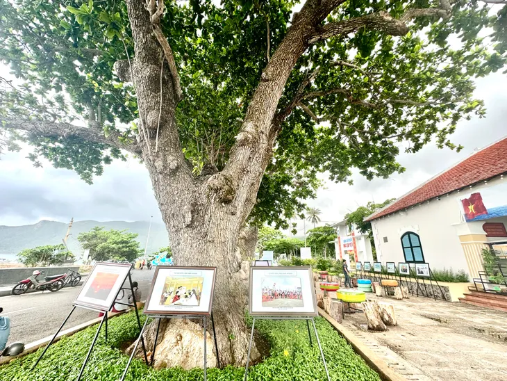 Côn Đảo trưng bày gần 200 tư liệu về Trường Sa – Hoàng Sa - Ảnh 7. Côn Đảo trưng bày gần 200 tư liệu về Trường Sa – Hoàng Sa - Ảnh 7.