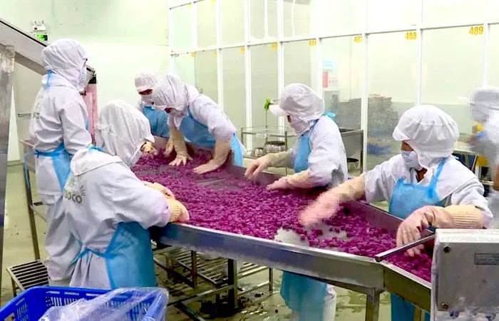 Nửa đầu năm, sản xuất khởi sắc, xuất khẩu tăng trưởng ấn tượng - Ảnh 4. Nửa đầu năm, sản xuất khởi sắc, xuất khẩu tăng trưởng ấn tượng - Ảnh 4.