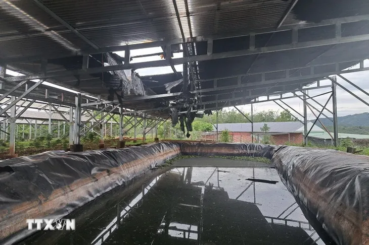 Bình Phước: Cháy hệ thống năng lượng mặt trời áp mái - Ảnh 1. Bình Phước: Cháy hệ thống năng lượng mặt trời áp mái - Ảnh 1.