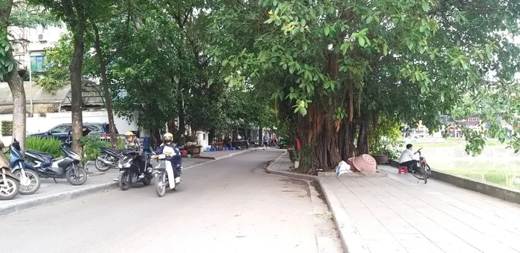 Hồ Ngọc Khánh chuẩn bị được cải tạo thành phố đi bộ - Ảnh 2. Hồ Ngọc Khánh chuẩn bị được cải tạo thành phố đi bộ - Ảnh 2.