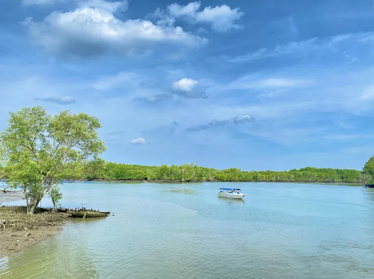 Thiềng Liềng - Ấp đảo xanh ở TP Hồ Chí Minh - Ảnh 3. Thiềng Liềng - Ấp đảo xanh ở TP Hồ Chí Minh - Ảnh 3.