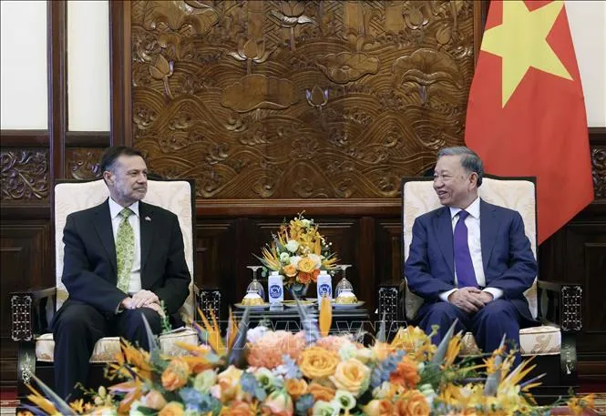 Chủ tịch nước Tô Lâm tiếp Đại sứ Australia tại Việt Nam - Ảnh 2. Chủ tịch nước Tô Lâm tiếp Đại sứ Australia tại Việt Nam - Ảnh 2.