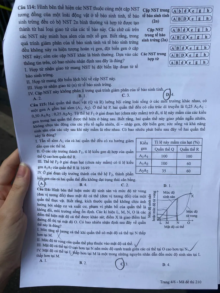 Đề thi và gợi ý đáp án môn Sinh học - Ảnh 4. Đề thi và gợi ý đáp án môn Sinh học - Ảnh 4.