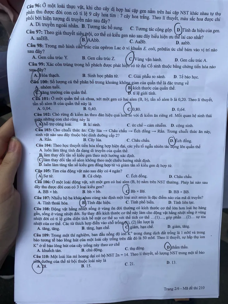 Đề thi và gợi ý đáp án môn Sinh học - Ảnh 2. Đề thi và gợi ý đáp án môn Sinh học - Ảnh 2.