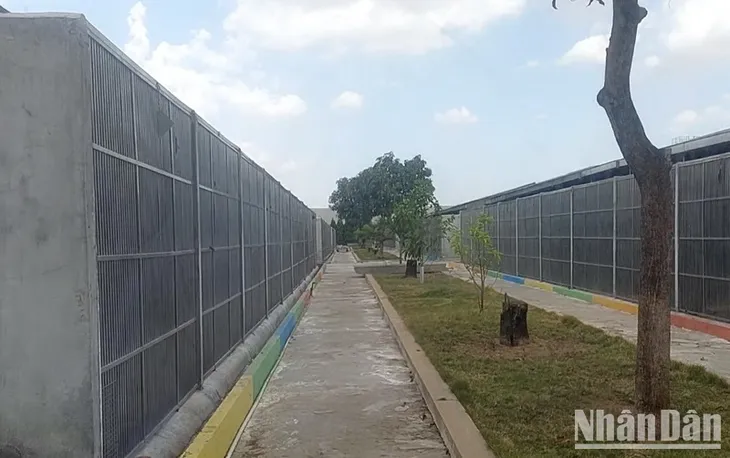 Đồng Nai: Cấp phép môi trường cho trại nuôi khỉ phục vụ nghiên cứu y sinh học và đời sống - Ảnh 1.