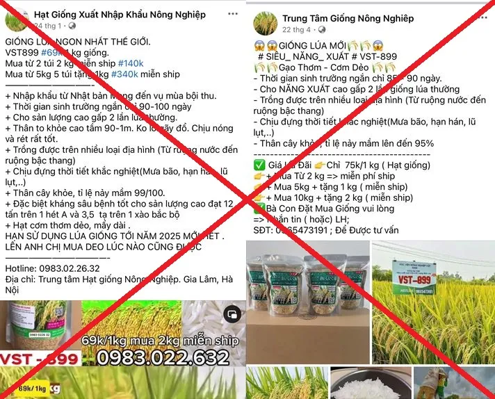 Bán giống lúa giả trên mạng xã hội, 7 đối tượng chiếm đoạt gần 8 tỷ đồng - Ảnh 1. Bán giống lúa giả trên mạng xã hội, 7 đối tượng chiếm đoạt gần 8 tỷ đồng - Ảnh 1.