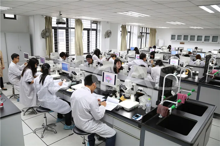 Trung Quốc dẫn đầu thế giới về bằng sáng chế - Ảnh 1. Trung Quốc dẫn đầu thế giới về bằng sáng chế - Ảnh 1.