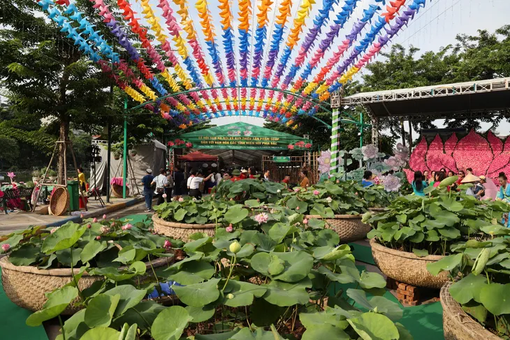 Ấn tượng tác phẩm được kết từ 10000 bông hoa sen - Ảnh 1. Ấn tượng tác phẩm được kết từ 10000 bông hoa sen - Ảnh 1.