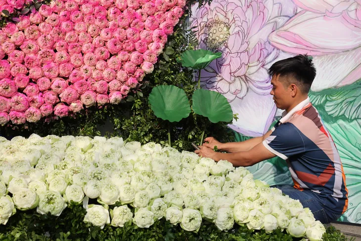 Ấn tượng tác phẩm được kết từ 10000 bông hoa sen - Ảnh 10. Ấn tượng tác phẩm được kết từ 10000 bông hoa sen - Ảnh 10.