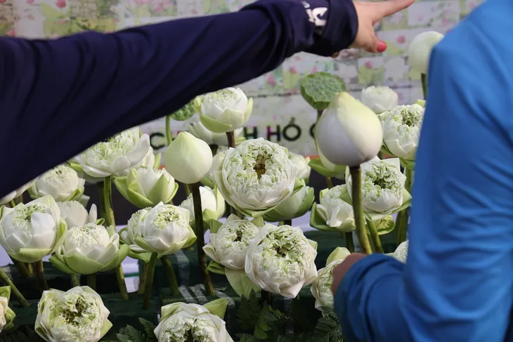 Ấn tượng tác phẩm được kết từ 10000 bông hoa sen - Ảnh 7. Ấn tượng tác phẩm được kết từ 10000 bông hoa sen - Ảnh 7.