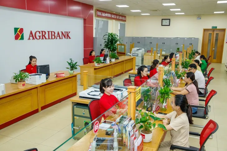Nhiều ngân hàng kỳ vọng nới lỏng nhẹ tiêu chuẩn tín dụng - Ảnh 1. Nhiều ngân hàng kỳ vọng nới lỏng nhẹ tiêu chuẩn tín dụng - Ảnh 1.
