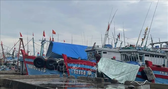 Thanh Hóa chủ động, sẵn sàng ứng phó với áp thấp nhiệt đới - Ảnh 1. Thanh Hóa chủ động, sẵn sàng ứng phó với áp thấp nhiệt đới - Ảnh 1.
