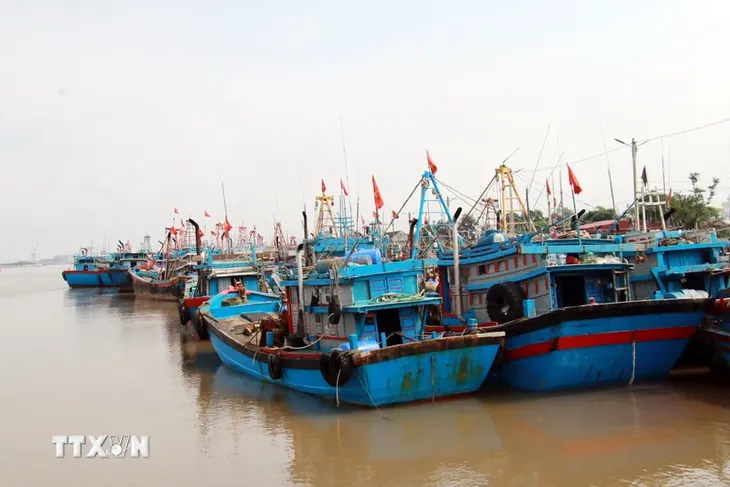Nam Định, Thái Bình cấm biển để ứng phó bão số 2 - Ảnh 1. Nam Định, Thái Bình cấm biển để ứng phó bão số 2 - Ảnh 1.