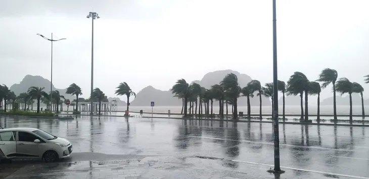 Bão số 2 đổ bộ Quảng Ninh, gió lớn làm đổ nhiều cây - Ảnh 12. Bão số 2 đổ bộ Quảng Ninh, gió lớn làm đổ nhiều cây - Ảnh 12.