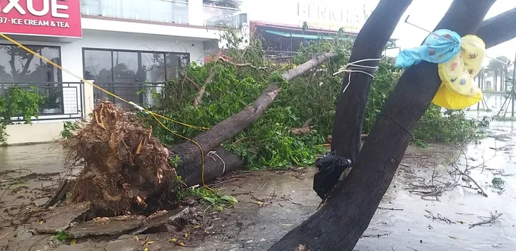 Bão số 2 đổ bộ Quảng Ninh, gió lớn làm đổ nhiều cây - Ảnh 11. Bão số 2 đổ bộ Quảng Ninh, gió lớn làm đổ nhiều cây - Ảnh 11.