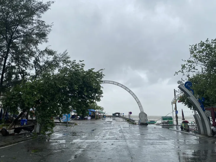 Bão số 2 đổ bộ Quảng Ninh, gió lớn làm đổ nhiều cây - Ảnh 16. Bão số 2 đổ bộ Quảng Ninh, gió lớn làm đổ nhiều cây - Ảnh 16.