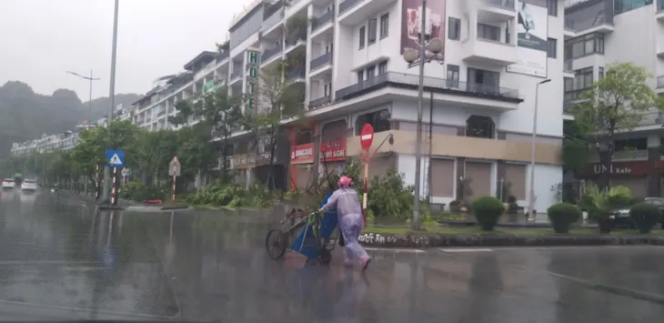 Bão số 2 đổ bộ Quảng Ninh, gió lớn làm đổ nhiều cây - Ảnh 5. Bão số 2 đổ bộ Quảng Ninh, gió lớn làm đổ nhiều cây - Ảnh 5.