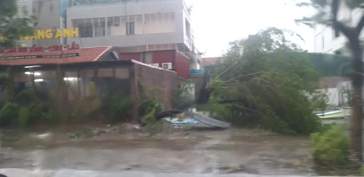 Bão số 2 đổ bộ Quảng Ninh, gió lớn làm đổ nhiều cây - Ảnh 3. Bão số 2 đổ bộ Quảng Ninh, gió lớn làm đổ nhiều cây - Ảnh 3.