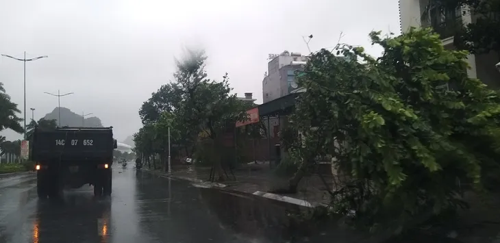 Bão số 2 đổ bộ Quảng Ninh, gió lớn làm đổ nhiều cây - Ảnh 4. Bão số 2 đổ bộ Quảng Ninh, gió lớn làm đổ nhiều cây - Ảnh 4.