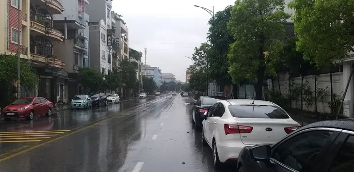 Bão số 2 đổ bộ Quảng Ninh, gió lớn làm đổ nhiều cây - Ảnh 7. Bão số 2 đổ bộ Quảng Ninh, gió lớn làm đổ nhiều cây - Ảnh 7.