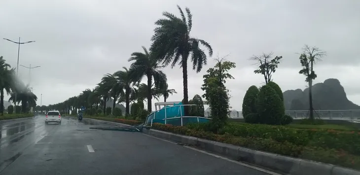 Bão số 2 đổ bộ Quảng Ninh, gió lớn làm đổ nhiều cây - Ảnh 1. Bão số 2 đổ bộ Quảng Ninh, gió lớn làm đổ nhiều cây - Ảnh 1.