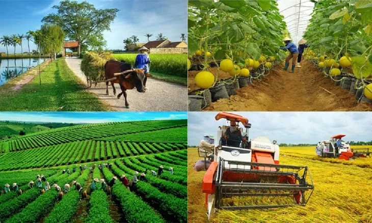 Xuất khẩu nông sản: Thiếu bền vững nếu không tận dụng công nghệ cao - Ảnh 2. Xuất khẩu nông sản: Thiếu bền vững nếu không tận dụng công nghệ cao - Ảnh 2.