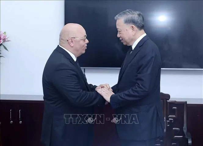 Chủ tịch nước Tô Lâm tiếp các đoàn quốc tế - Ảnh 2. Chủ tịch nước Tô Lâm tiếp các đoàn quốc tế - Ảnh 2.