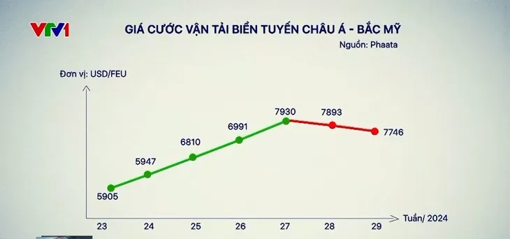 Giá cước vận tải biển hạ nhiệt - Ảnh 1. Giá cước vận tải biển hạ nhiệt - Ảnh 1.