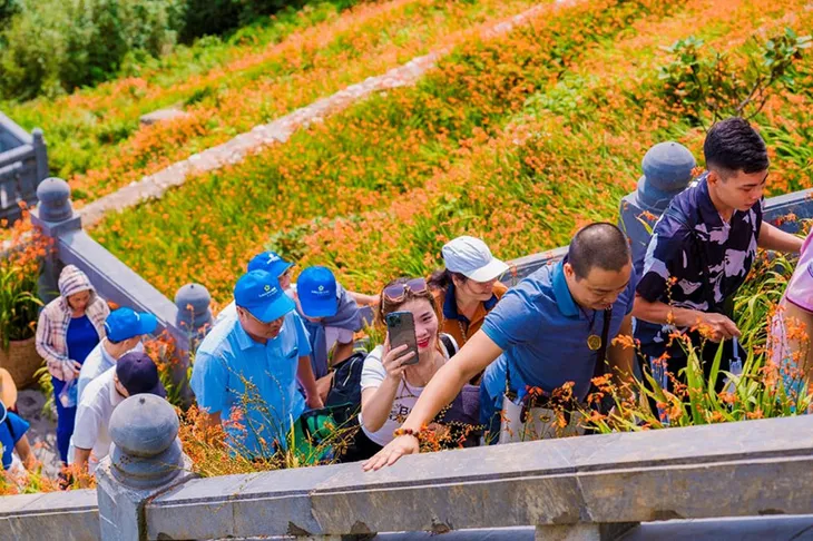 Lễ hội Hoa dơn thóc trên đỉnh Fansipan - Ảnh 1. Lễ hội Hoa dơn thóc trên đỉnh Fansipan - Ảnh 1.