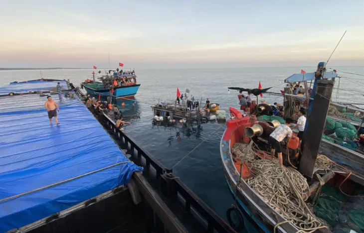Tàu cá chìm sau va chạm với tàu hàng, 11 thuyền viên được cứu - Ảnh 1. Tàu cá chìm sau va chạm với tàu hàng, 11 thuyền viên được cứu - Ảnh 1.
