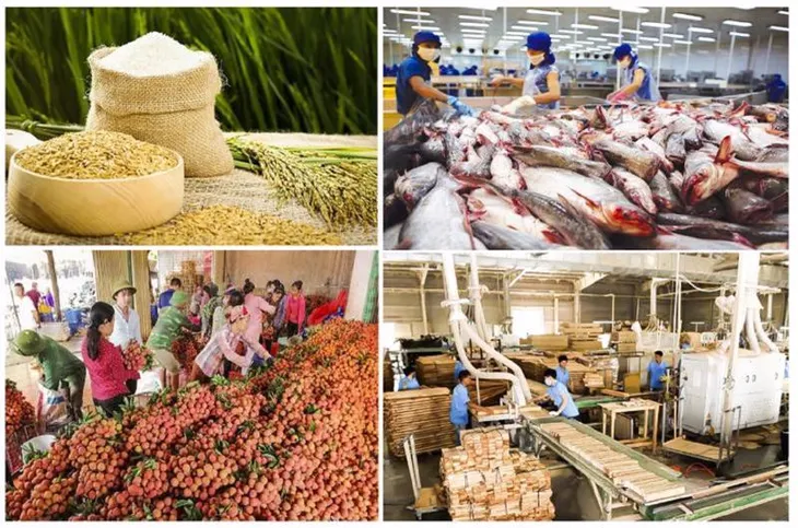 7 tháng, xuất khẩu gạo mang về 3,2 tỷ USD - Ảnh 2. 7 tháng, xuất khẩu gạo mang về 3,2 tỷ USD - Ảnh 2.